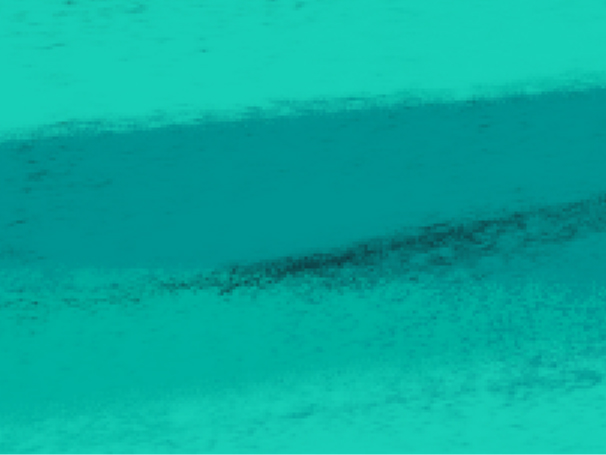 Fallback Image