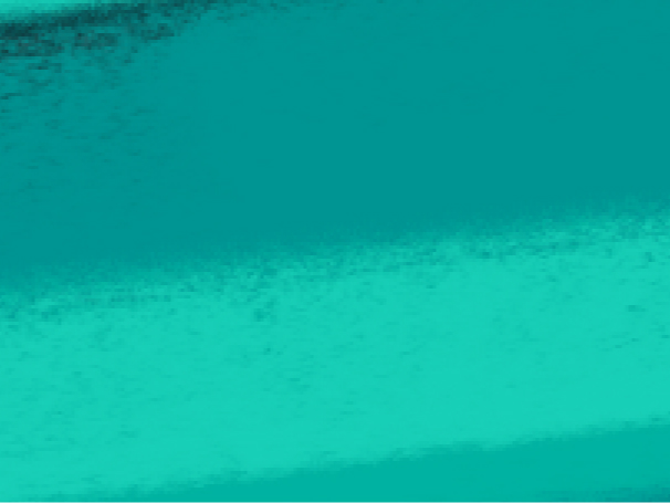 Fallback Image