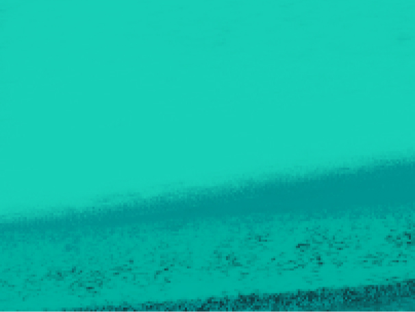 Fallback Image