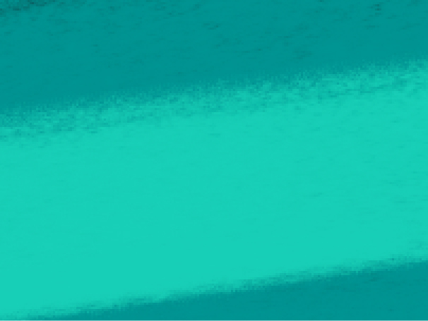 Fallback Image