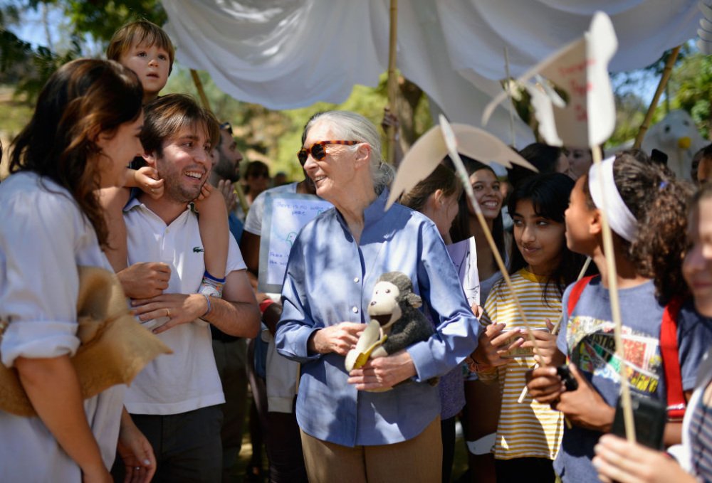 An older woman holding a stuffed chimpanzee stands among children at an outdoor event.
